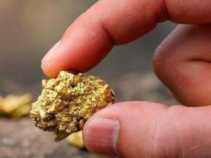 Venezuela la segunda mayor reserva de oro en america
