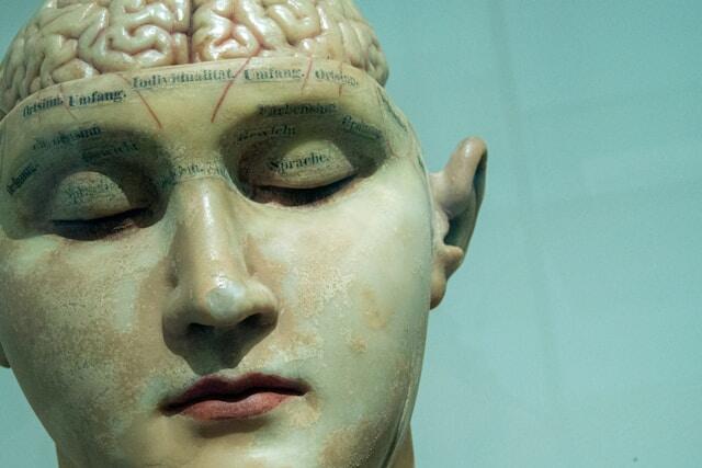 15 Datos Curiosos sobre el Cerebro Humano que No Conocías